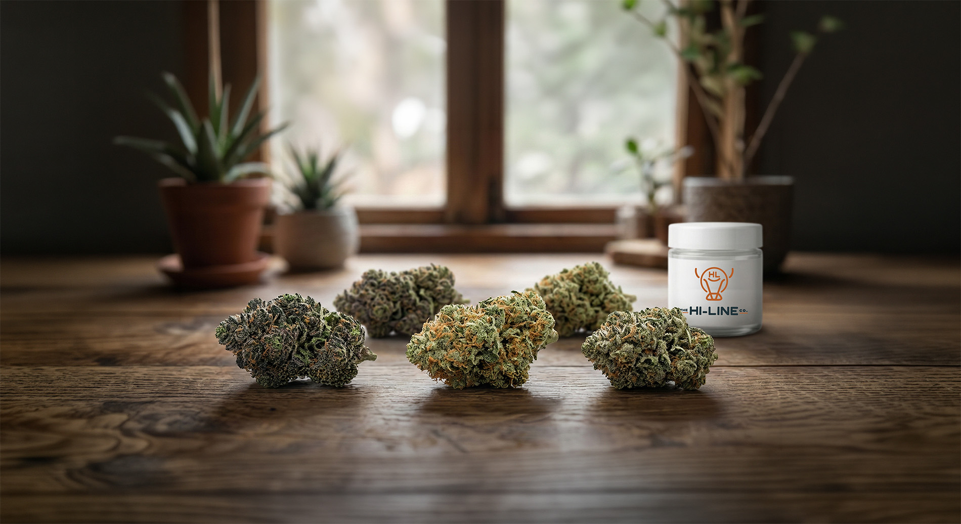 Five cannabis buds arranged on a wooden surface with potted plants and a The Hi‑Line Co container in the background, lit by natural window light.